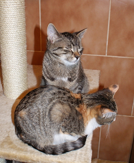 DSC03214.jpg